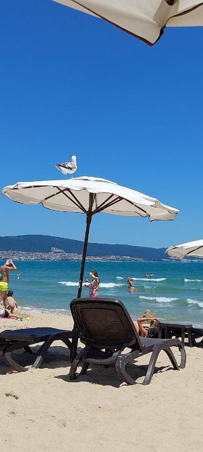 Abelia Residence Apartment Regina Sunny Beach Dış mekan fotoğraf